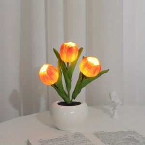 10ab7d42-f9a8-4afe-908d-21907f9aff21_1000x1000.jpeg 2