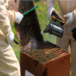beekeeping-supplies