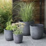 garden-pots-planters