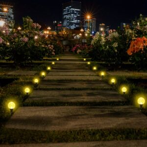 53bc07c2-1d4e-4d30-a98c-5fe61be60ef6-1.jpg 2