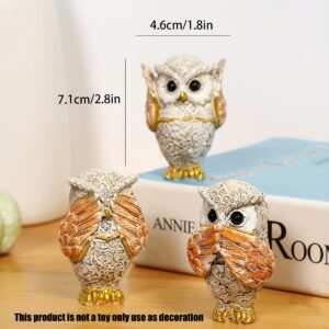 948a4bcb-786e-44bf-857f-32ff5c1b20e2.jpg 3