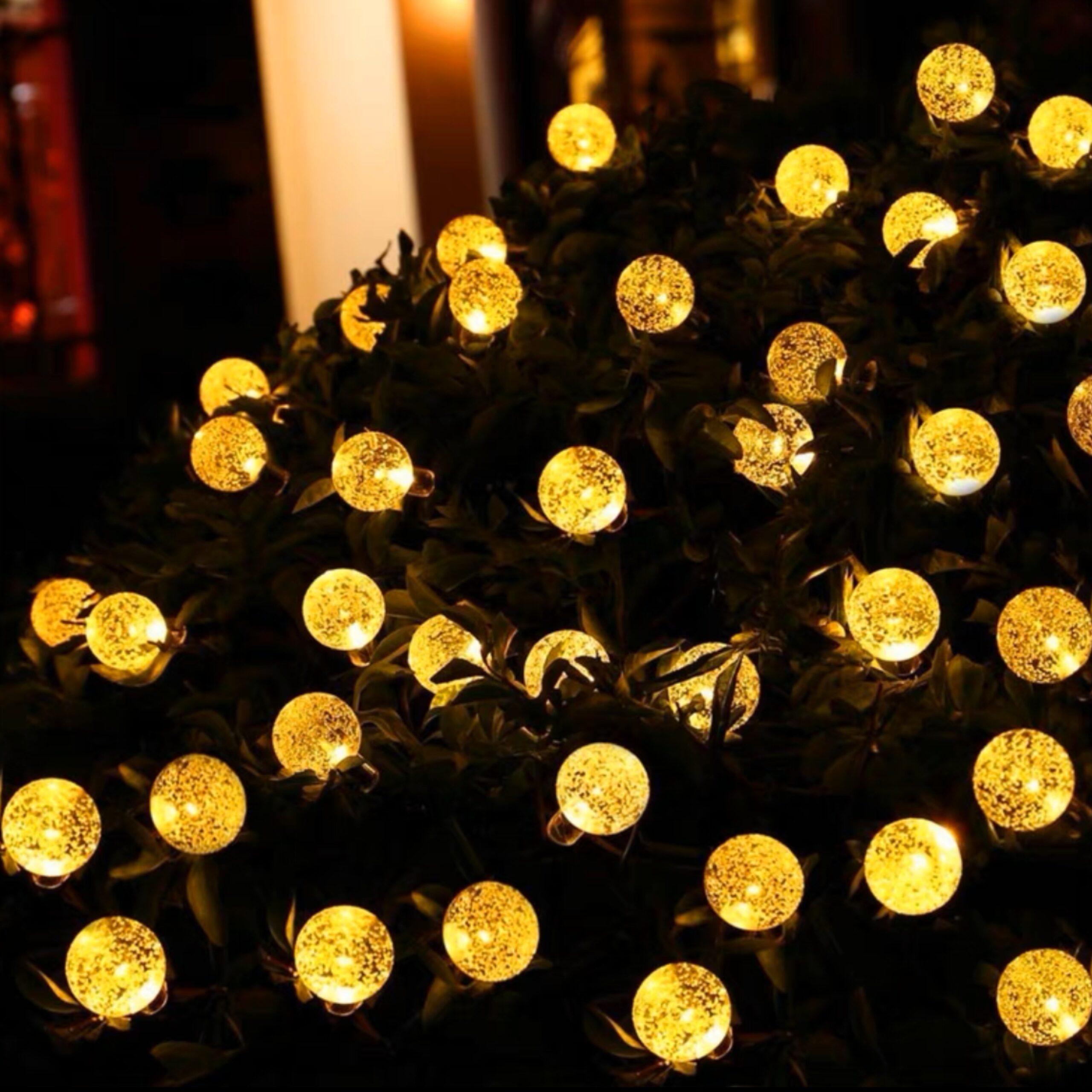 b311e94b-2e5b-496f-a8d8-f50812d5b7eb.jpg 8