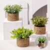 3pcs Artificial Eucalyptus & Lavender Potted Plants – Faux Boxwood & Rosemary for Home Decor