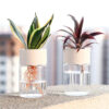 Mini Hydroponic Flower Pot – Transparent Imitation Glass Soilless Plant Pot for Home Decor