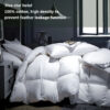 Goose Down Winter Duvet – Fluffy Cotton Hotel Quilt for All Sizes