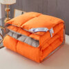 95% White Goose Down Duvet – Five-Star Hotel Warm Winter Quilt