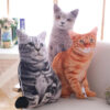 3D Cat Plush Pillow – Cartoon Cushion Toy for Sofa & Gifts