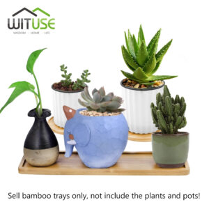 img_aliexpress_1743852265_16.jpeg 17