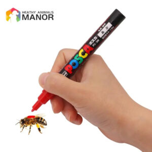 img_aliexpress_1743864537_7.jpeg 8