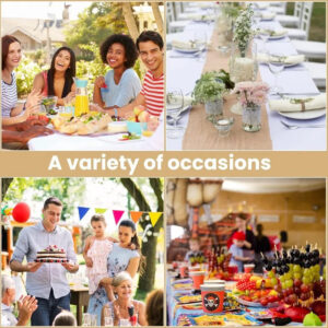 img_aliexpress_1743870722_24.jpeg 25