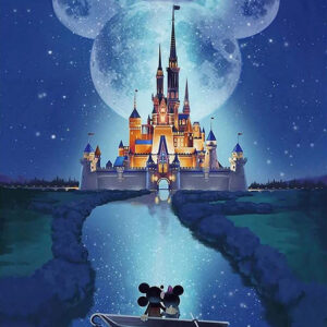 img_aliexpress_1743878833_5.jpeg 6