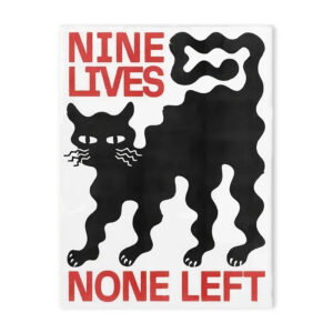 img_aliexpress_1743909467_12.jpeg 13