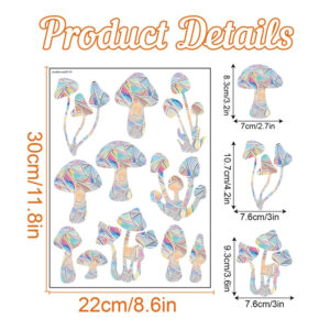 img_aliexpress_1743909783_11.jpeg 0|